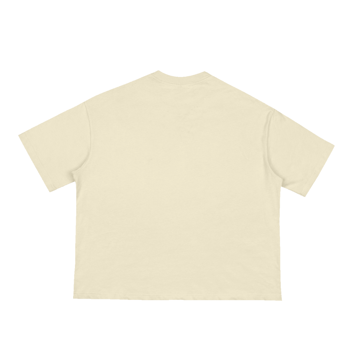 The Loose Tee in Apricot, back #Color_Apricot