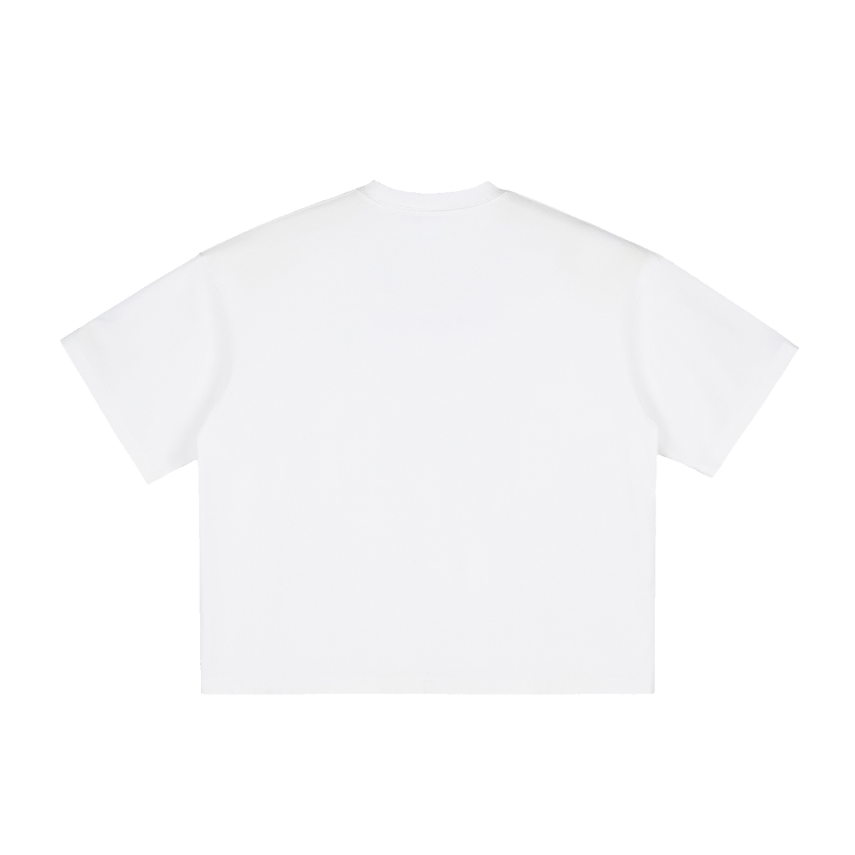 The Washed Boxy Tee in White, back #Color_White