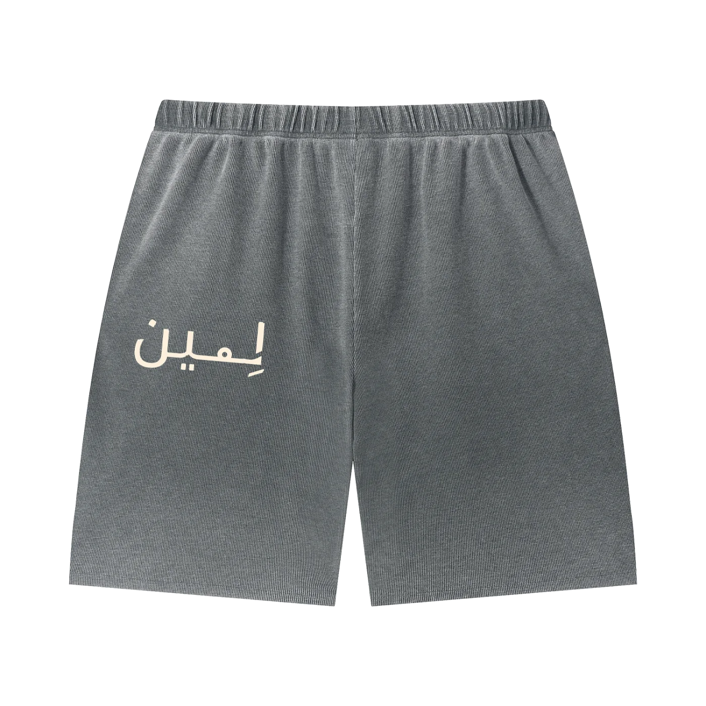 The Sunfade Short in Dark Gray, back #Color_Dark Gray