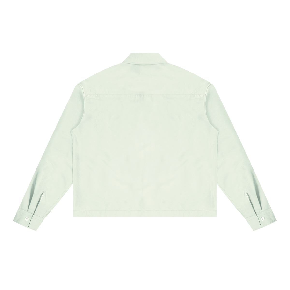 The Boxy Shirt in Light Green, back #Color_Light Green