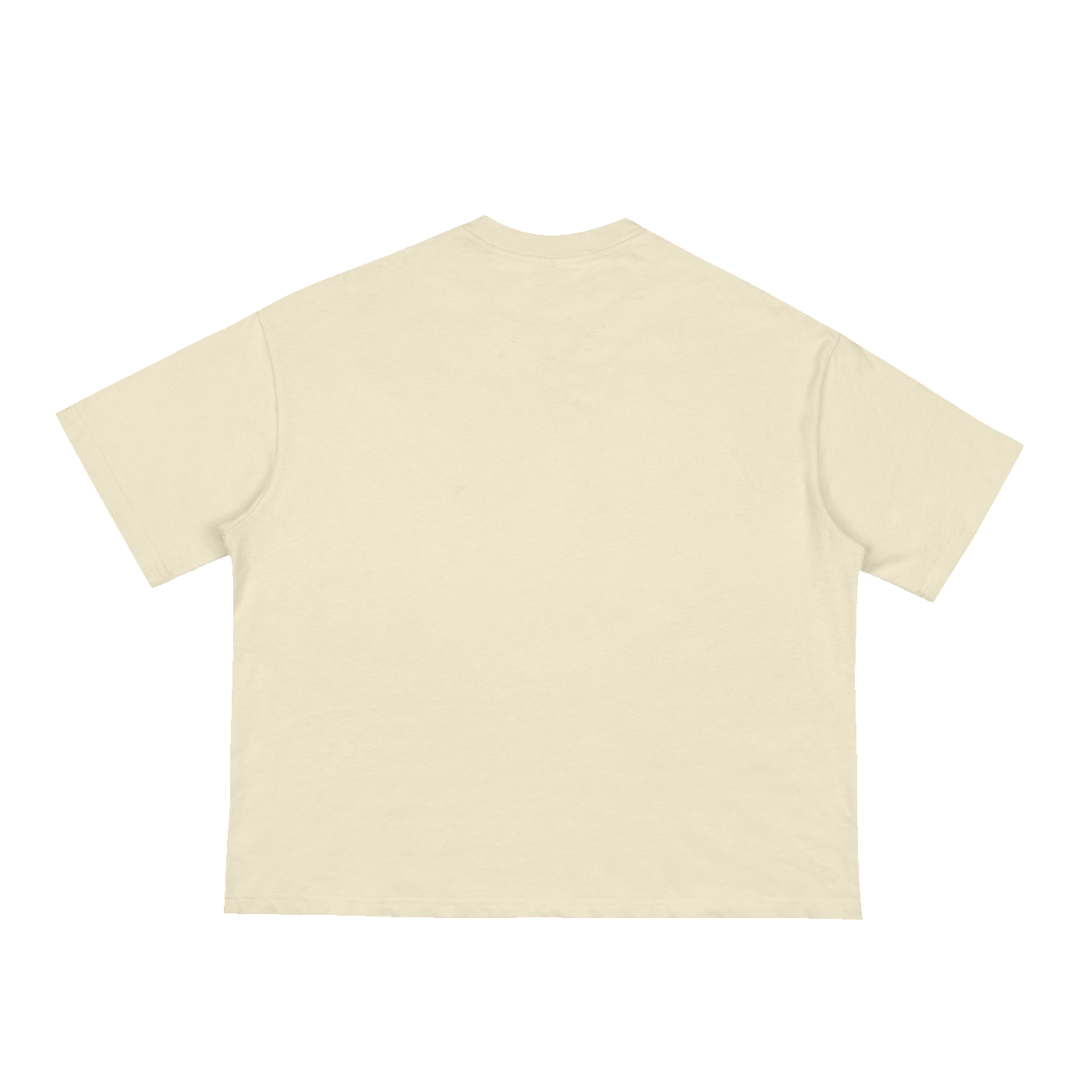 The Loose Tee in Apricot, back #Color_Apricot