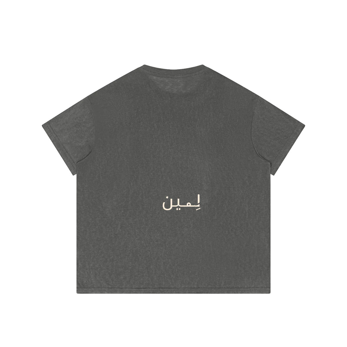 The Sheer Tee in Gray, back #Color_Gray