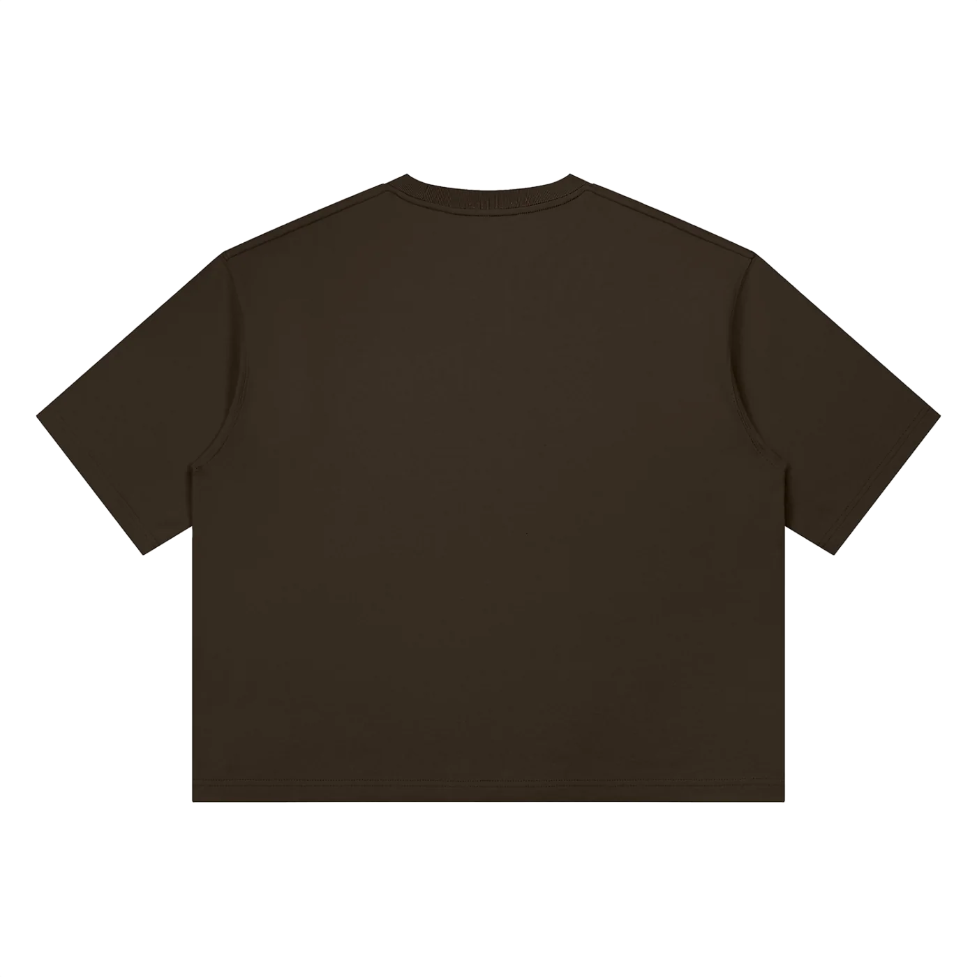 The Boxy Tee in Coffee, back #Color_Coffee