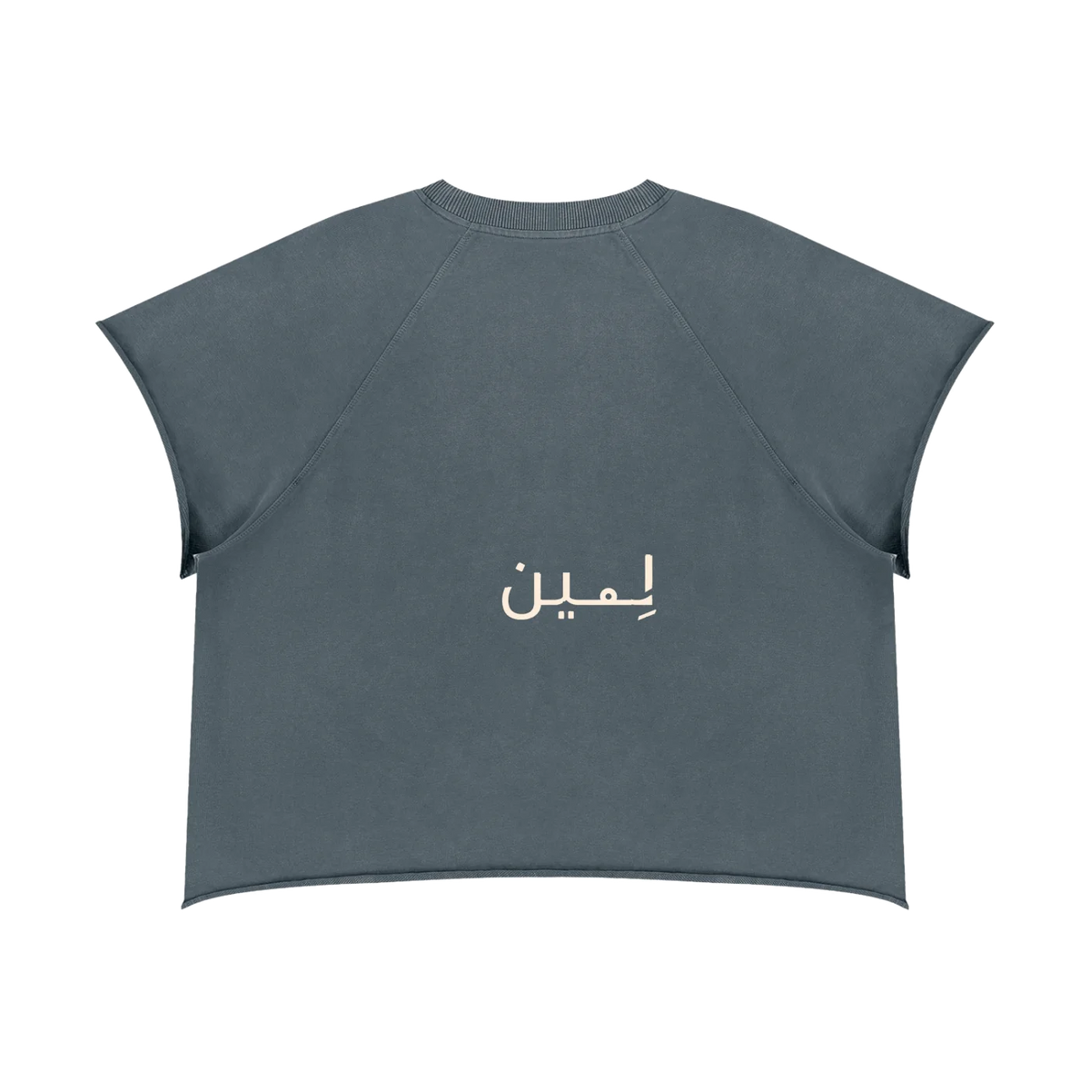 The Raglan Tee in Gray Blue, back #Color_Gray Blue